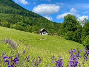 Waldlichth�tte am Muckenkogel H�tte Muckenkogel 